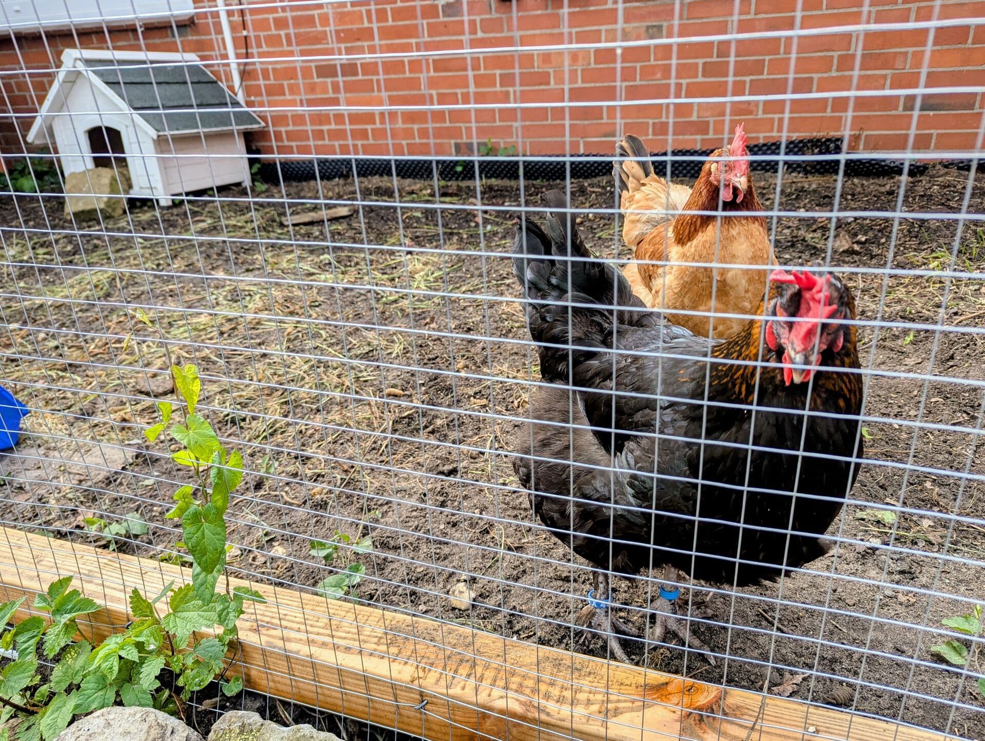 Partizipative Schulentwicklung durch Hackathon